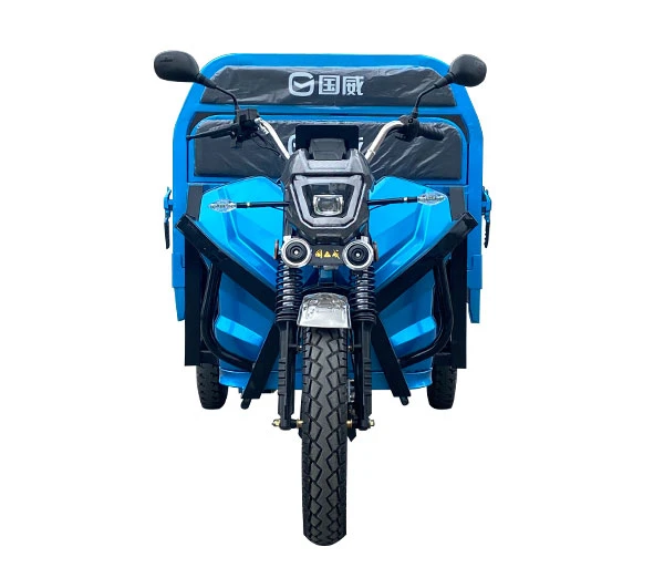 Electric Trikes Electric Trikes