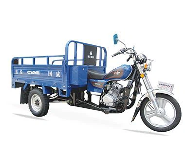 Meeste 3 ratta mootoriga Bike